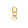 singlepair Viva colore hoop gold