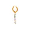 singlepair Springfield hoop gold