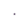 singlepair Purple star silver