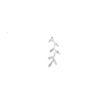 singlepair Leaf silver