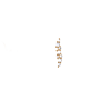 singlepair Shiny wave gold
