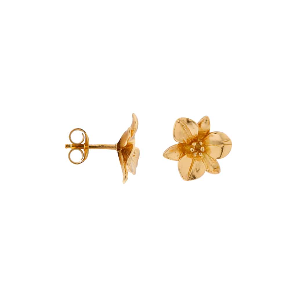Big flower gold