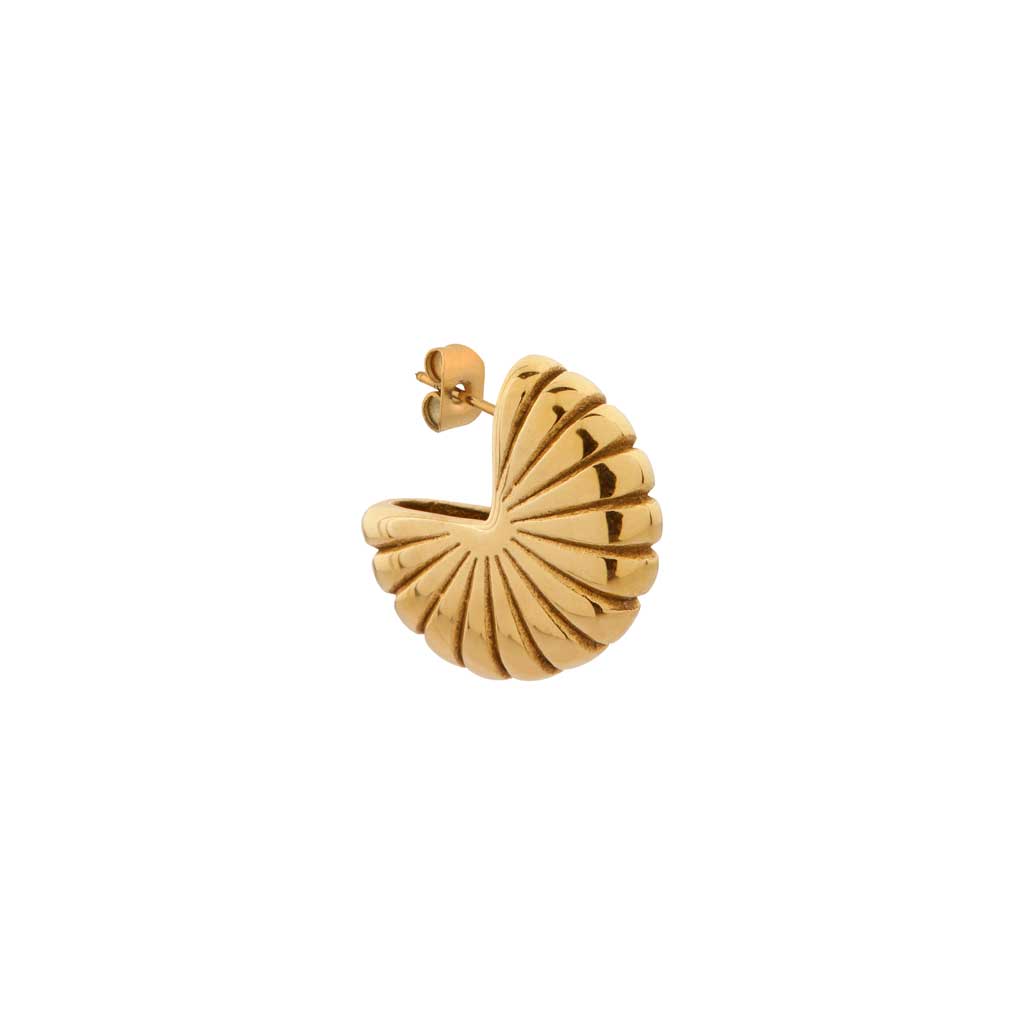 Open shell hoop gold