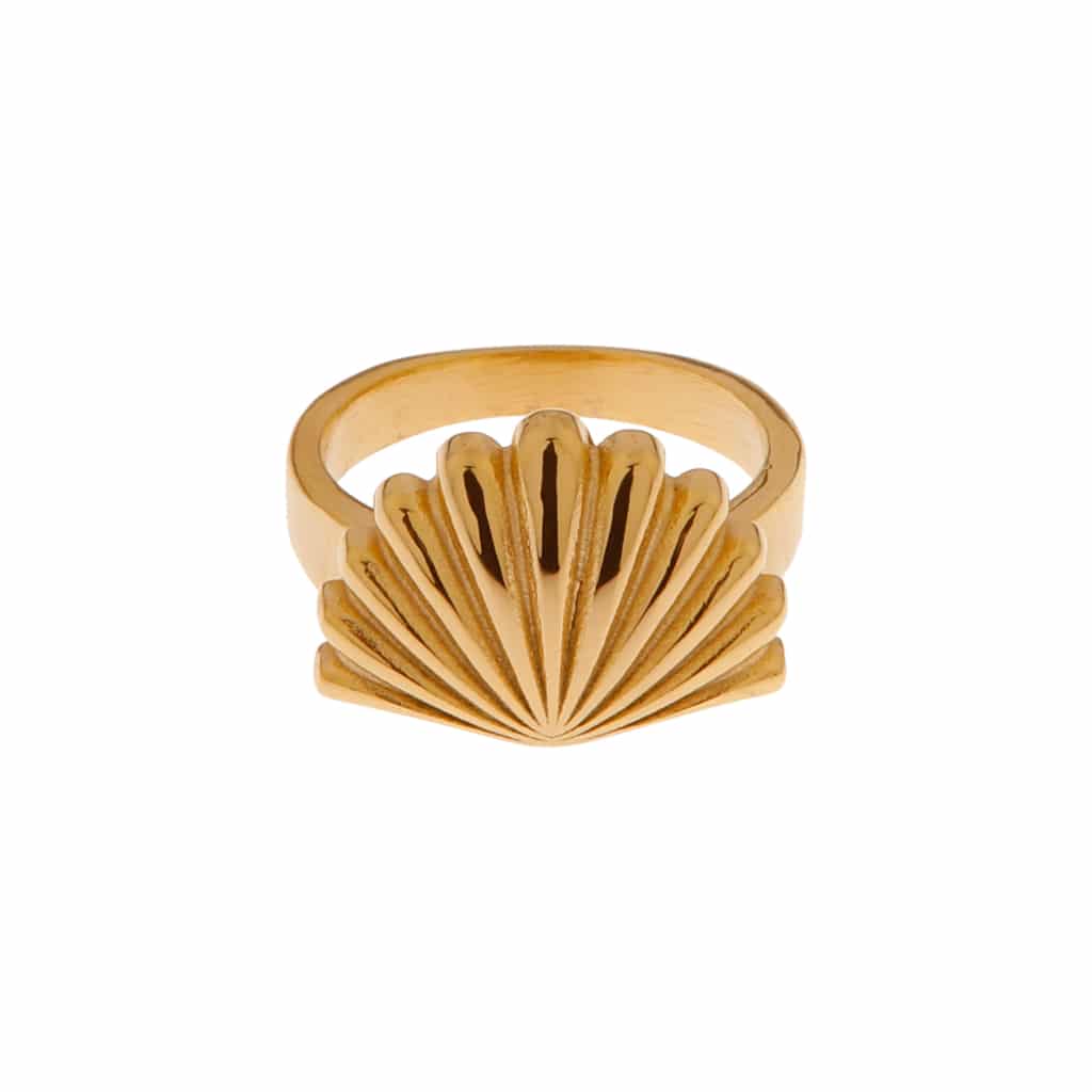 Shell ring gold - 6