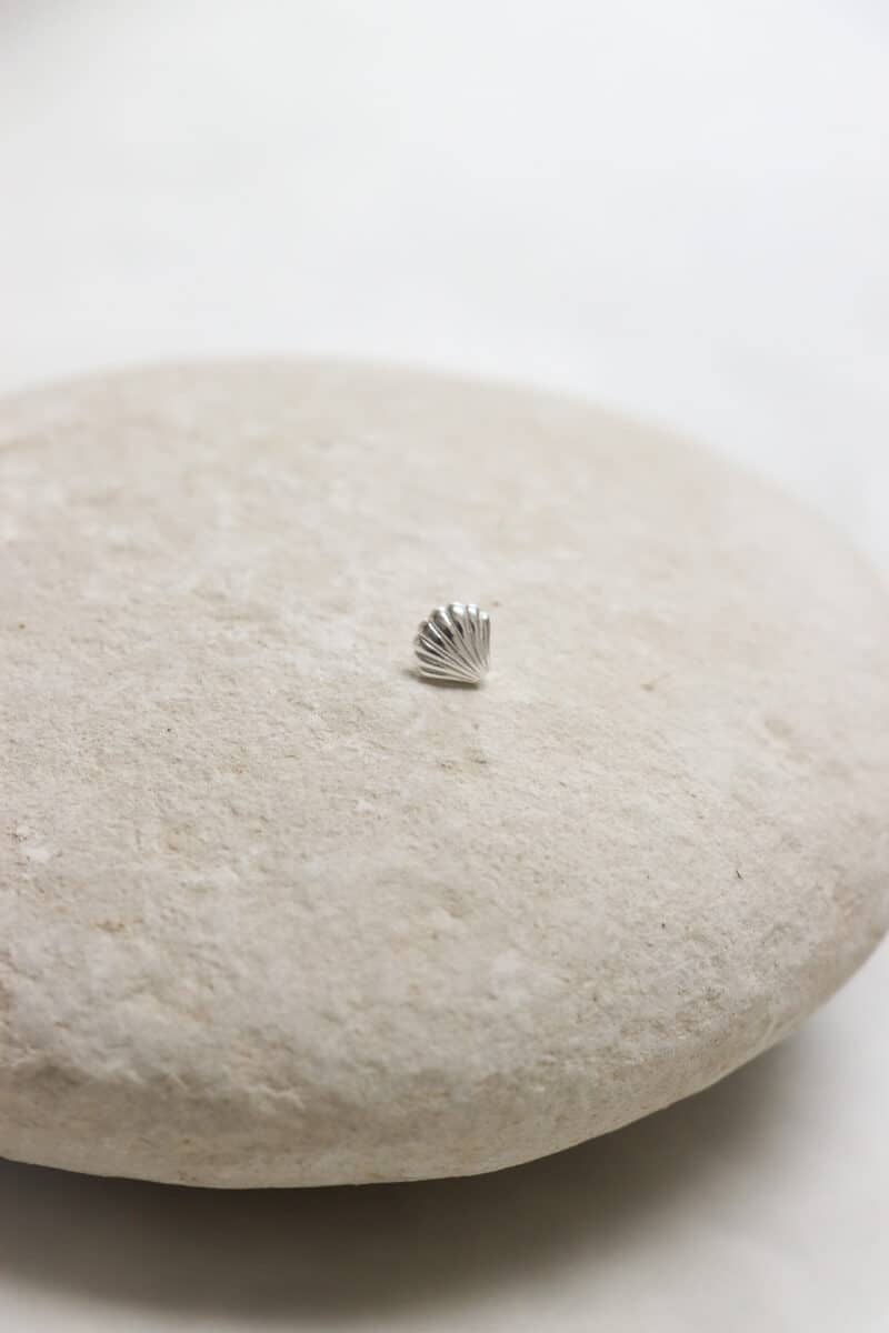 Shell silver