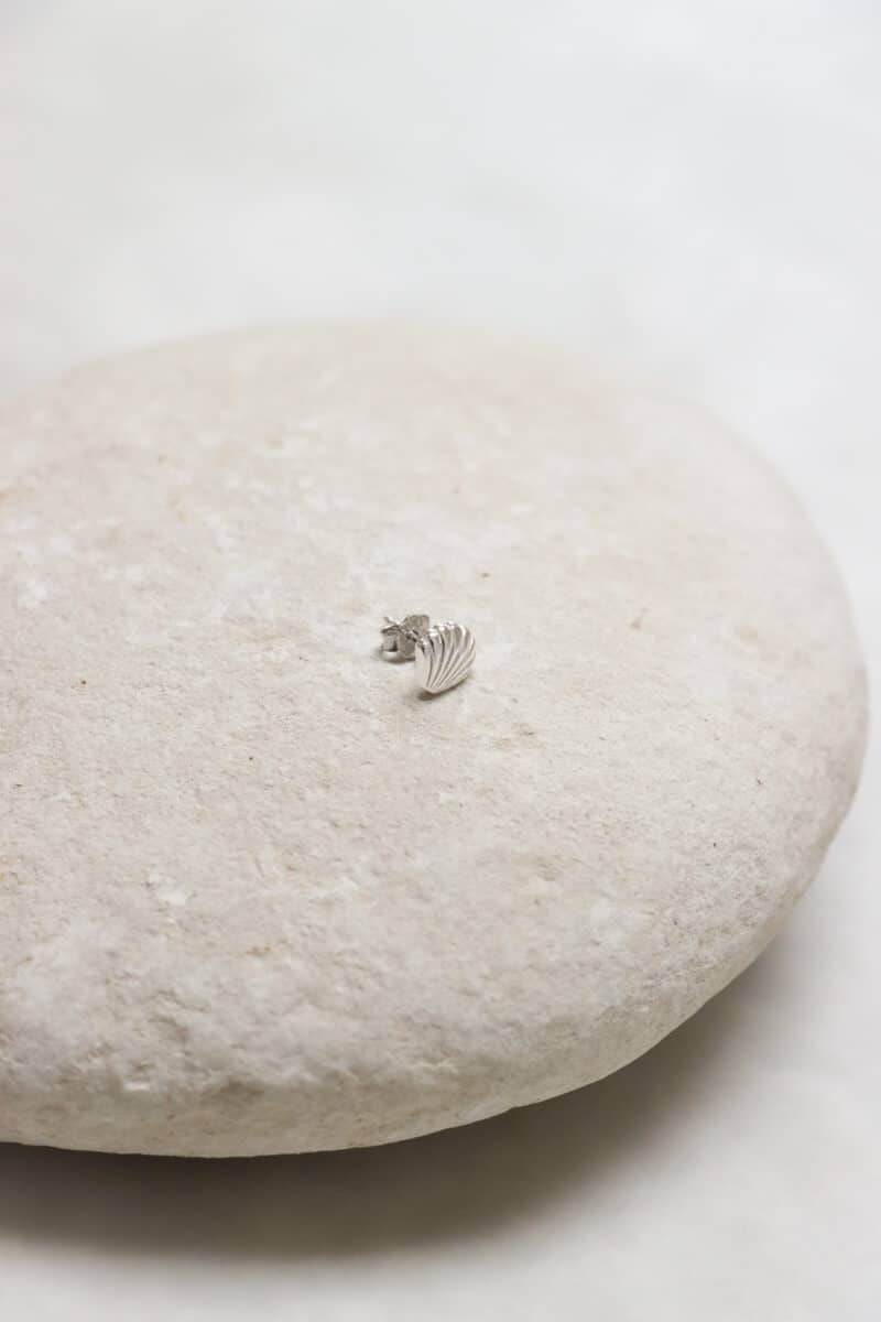 Shell silver
