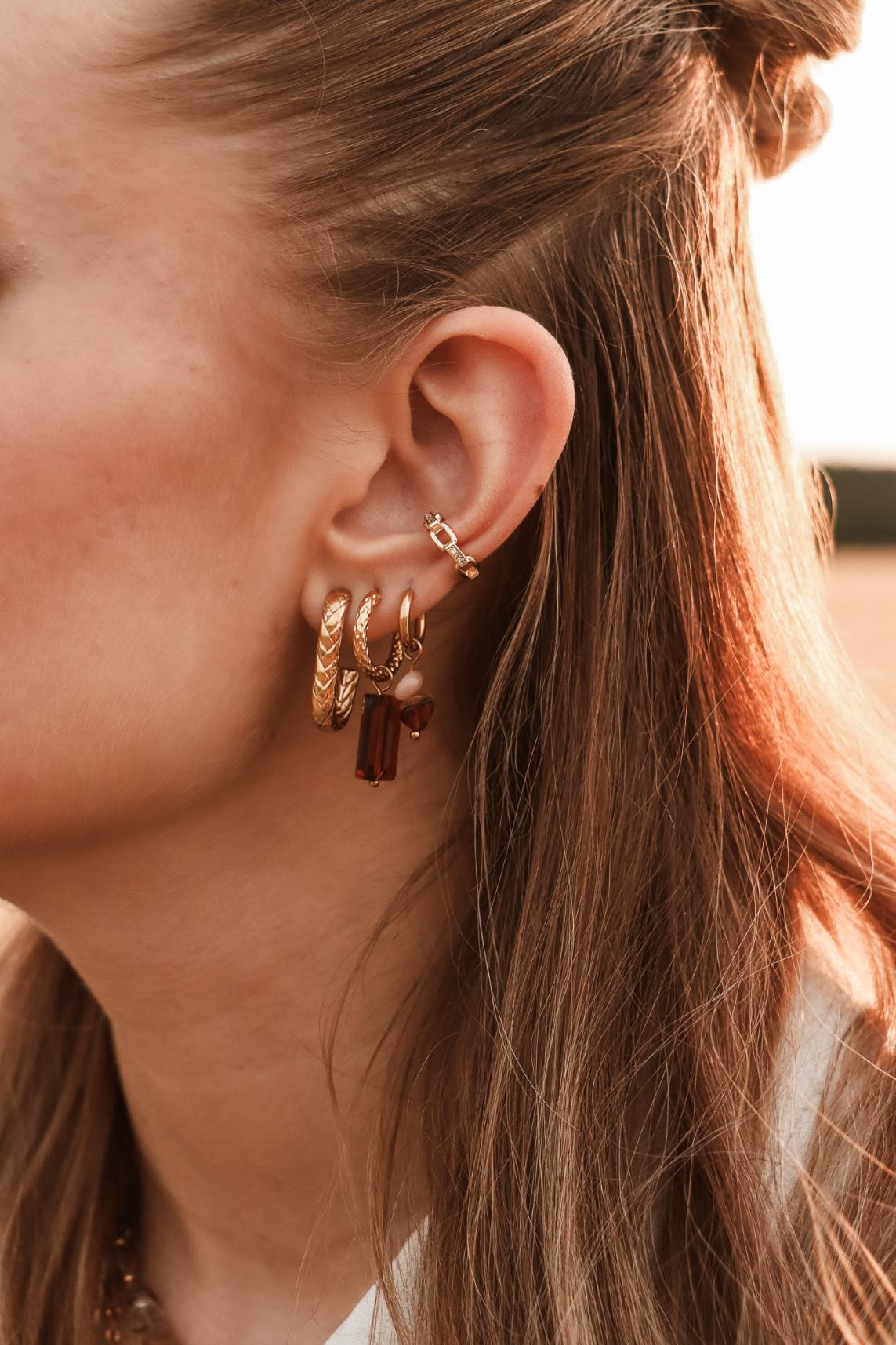 Shiny brown hoop gold