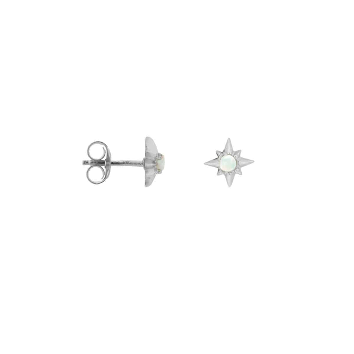 Shiny starfish silver
