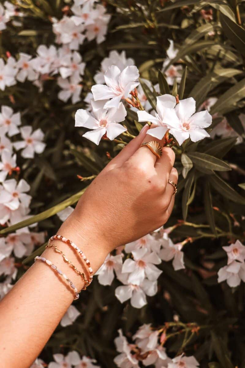 Terra lilac bracelet gold