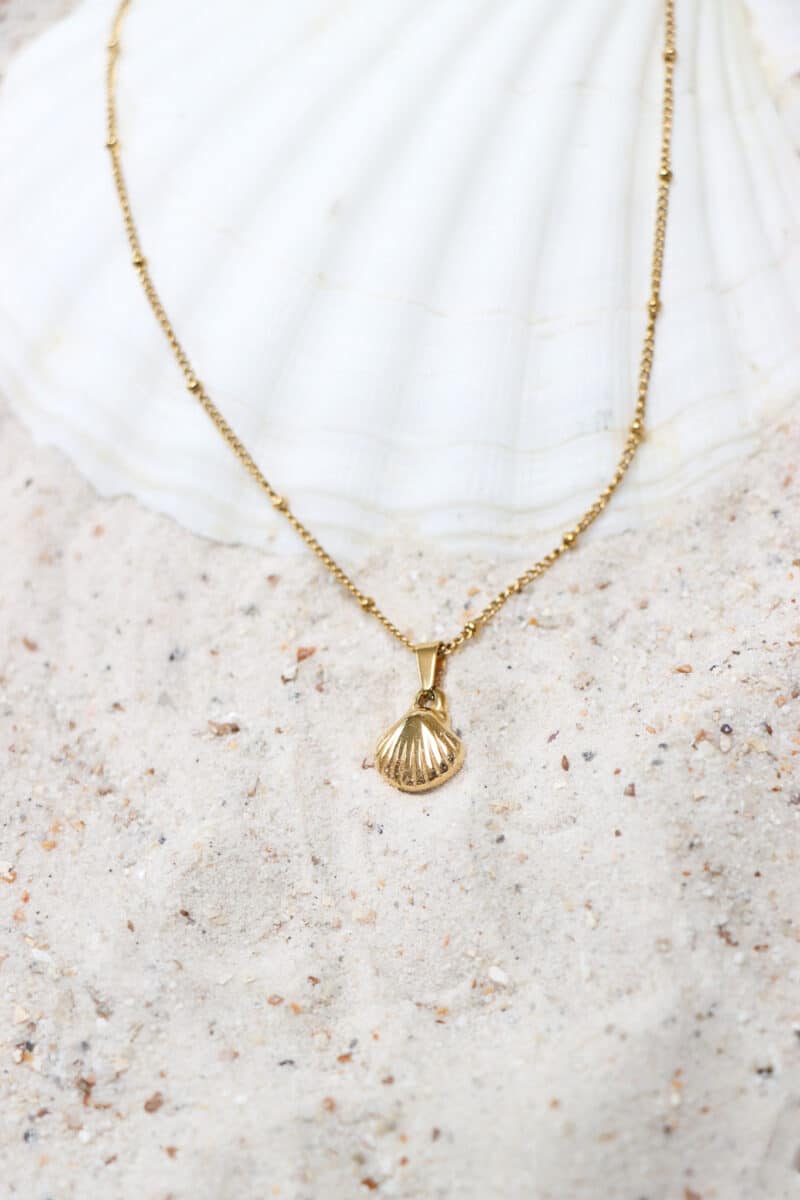 We shell sea necklace gold