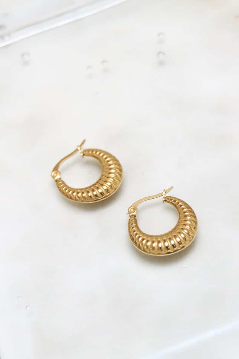 Whale hoop gold
