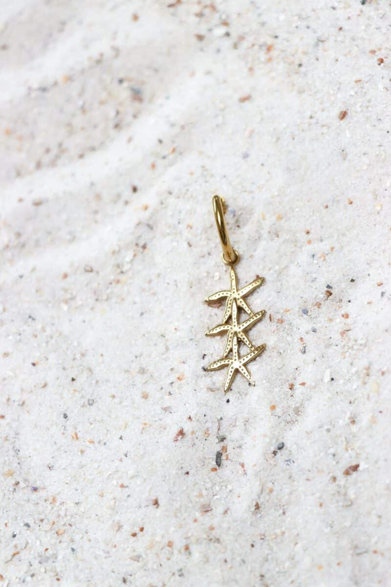 You're my seastar hoop gold
