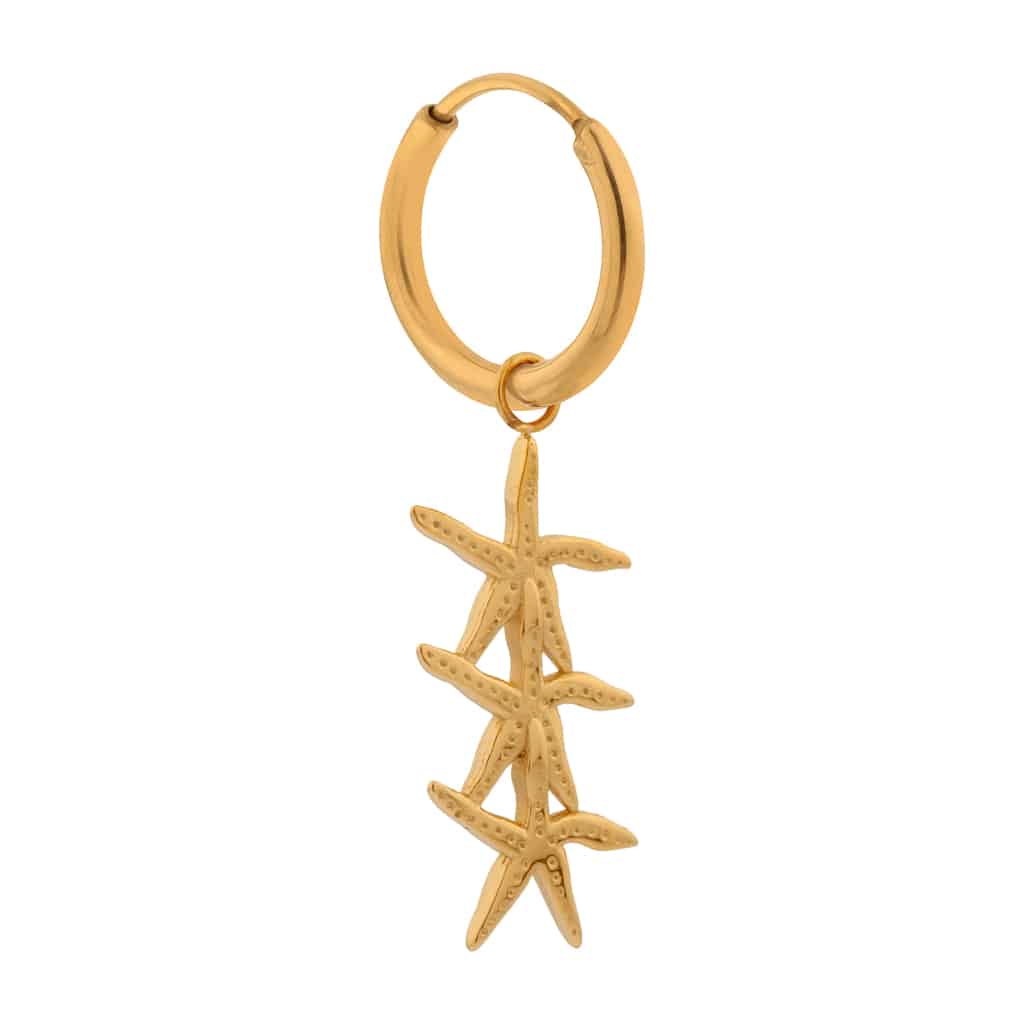 You're my seastar hoop gold