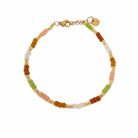 label-kiki-bracelet-armbandje-stainless-steel-roestvrij-staal-jungle-rainbow-gold-goud