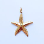 Seastar charm gold