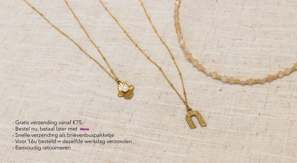 Gouden ketting met hanger