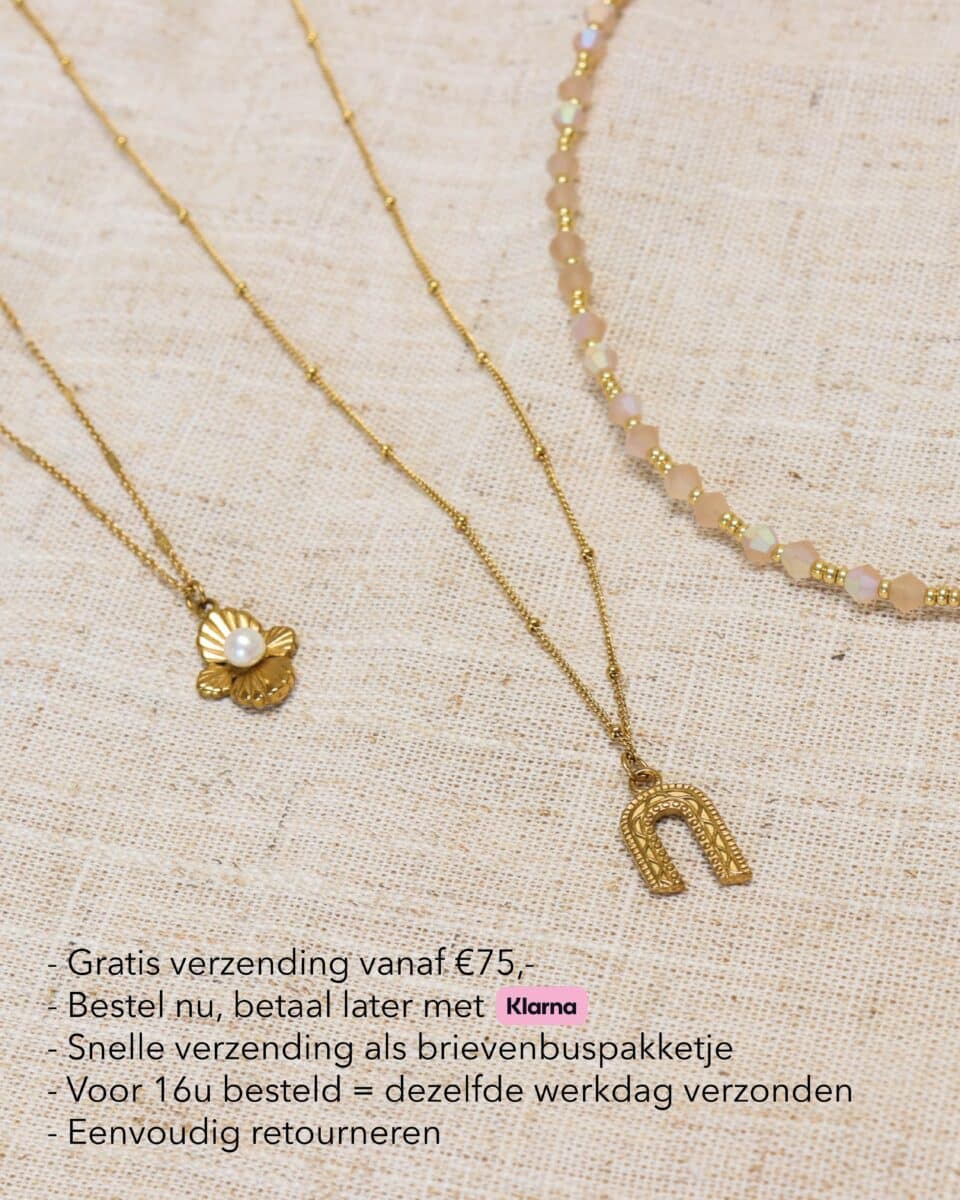 Gouden ketting met hanger