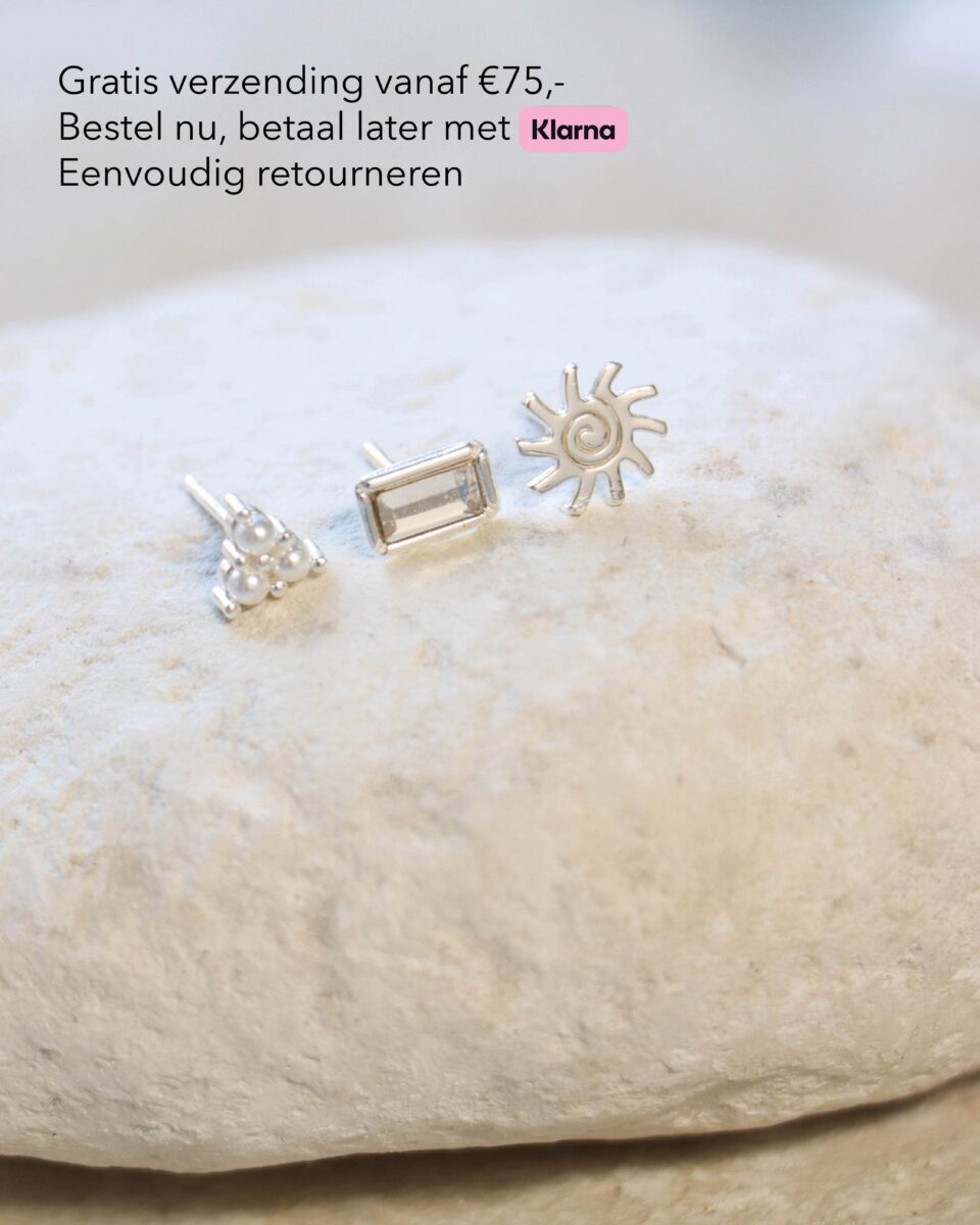 Oorknopjes zilver